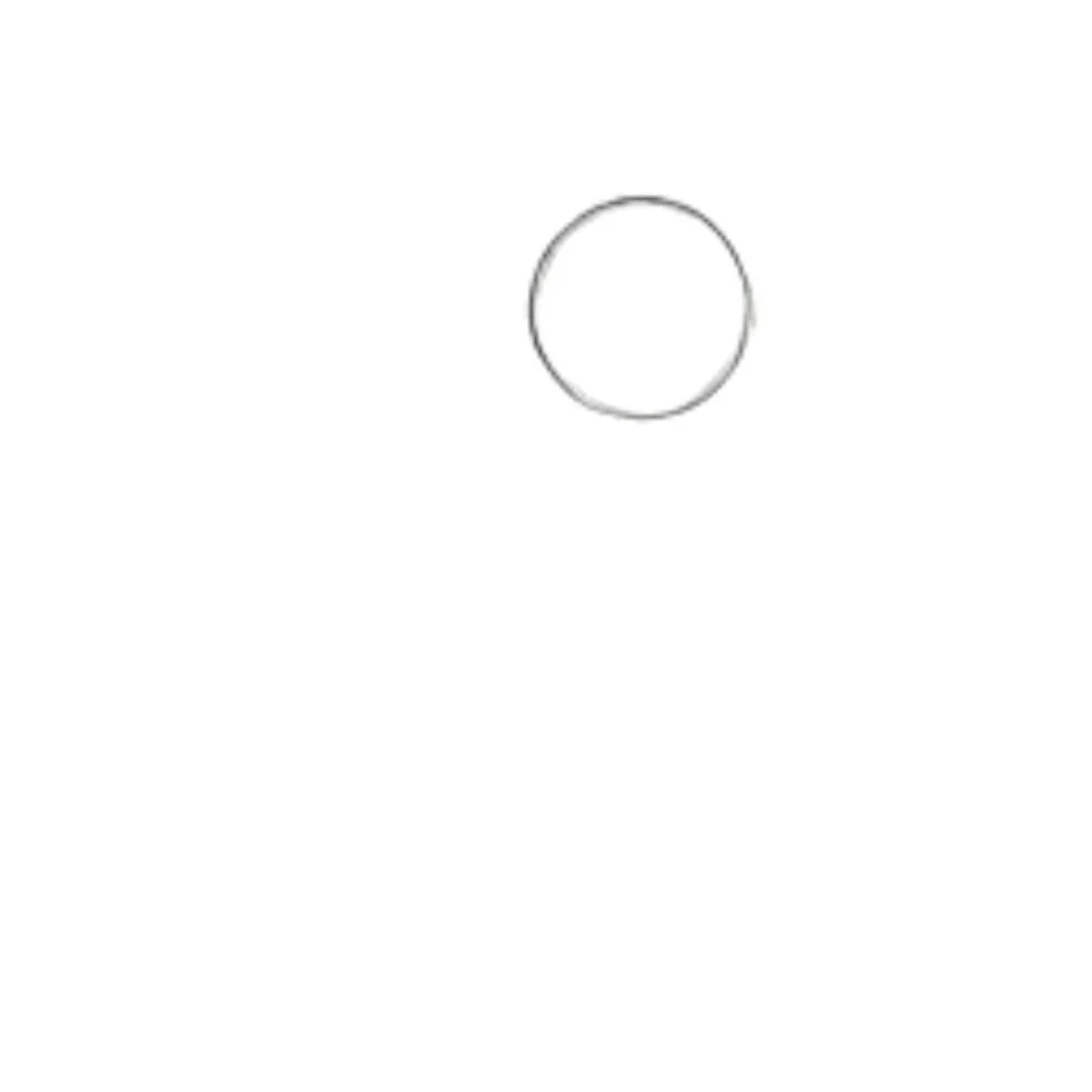 Step 1: Draw Basic Circle for Head