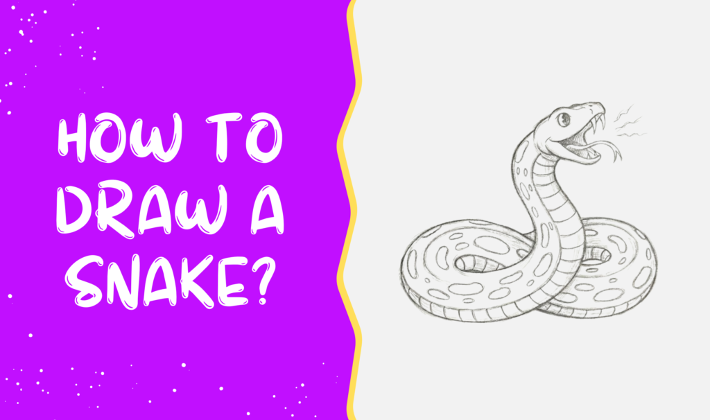 How to draw a Snake