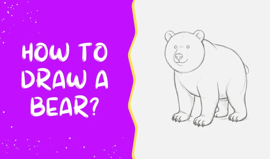How to draw a bear?