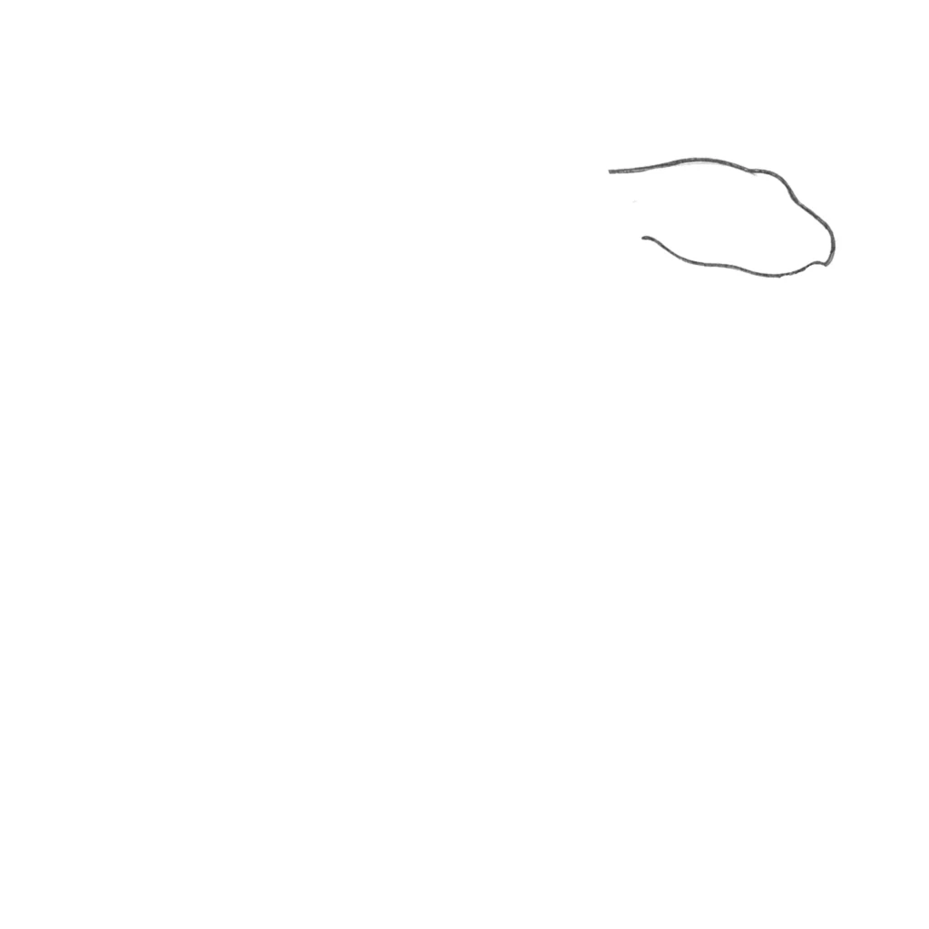 Snake Head