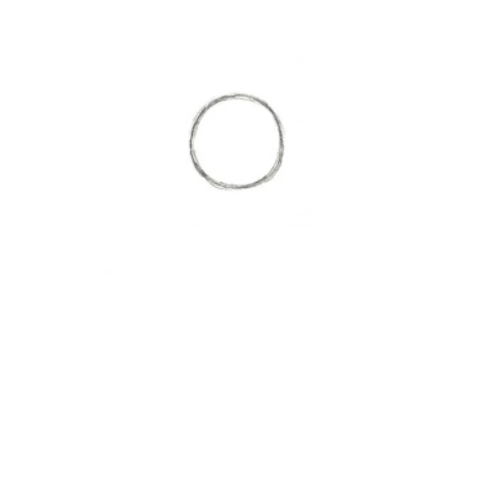 Step 1_ Draw the Basic Head Shape