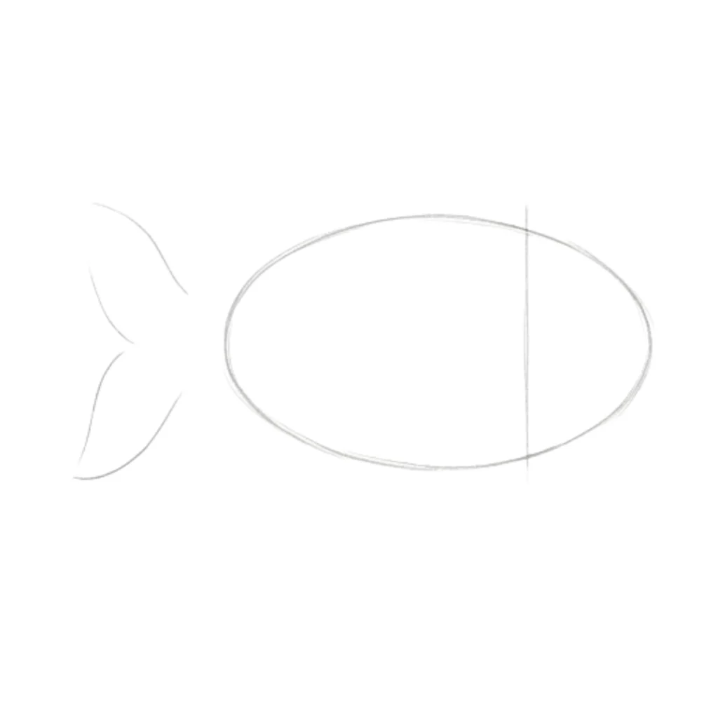 Step 1_ Fish Body Shape