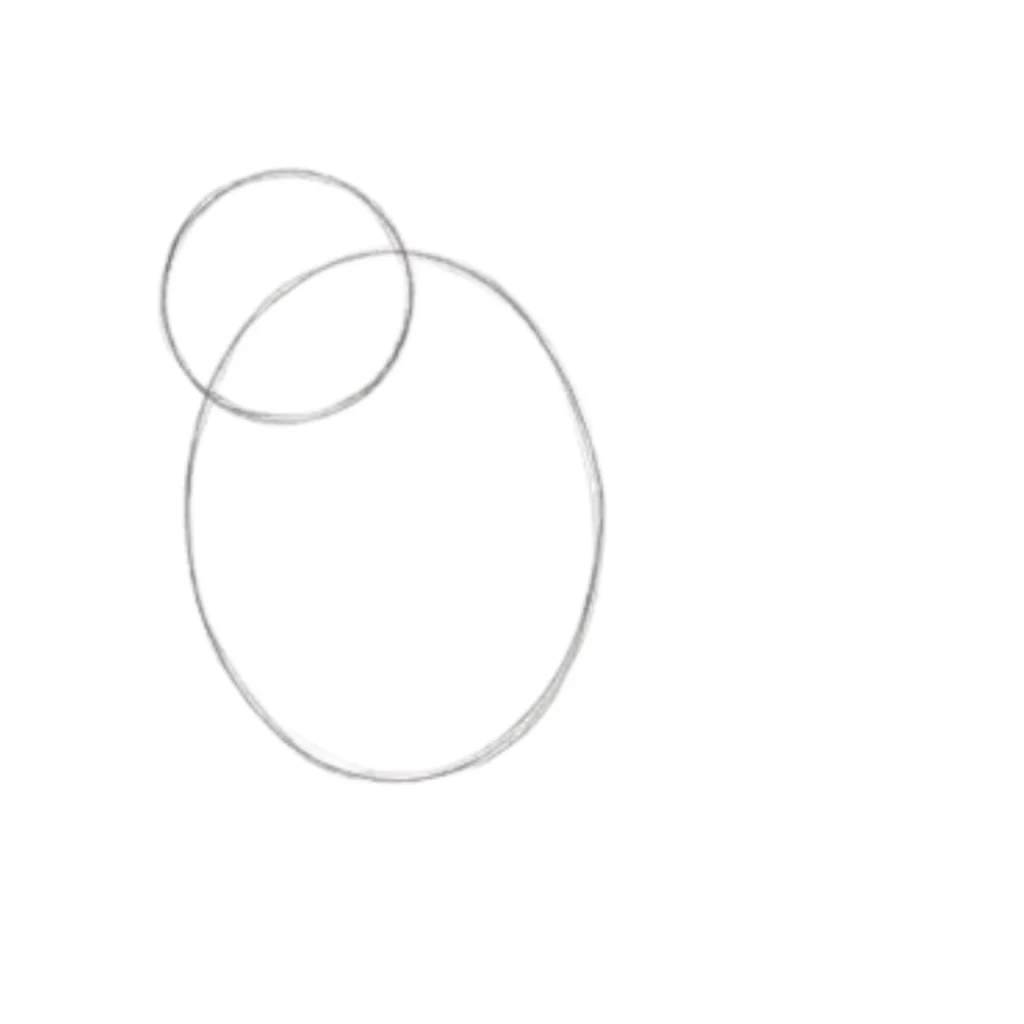Step 2_ Bear Head Shape