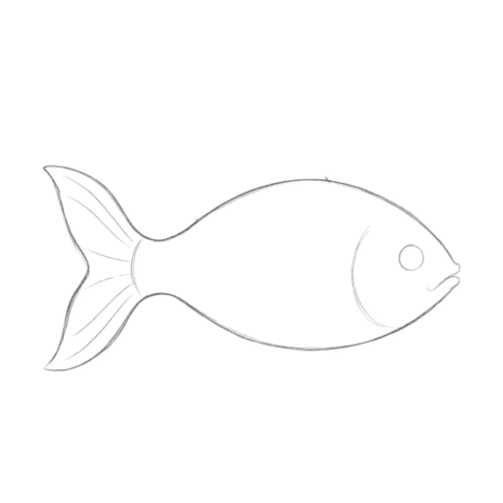 Step 2_ Fish Tail and Face Outline
