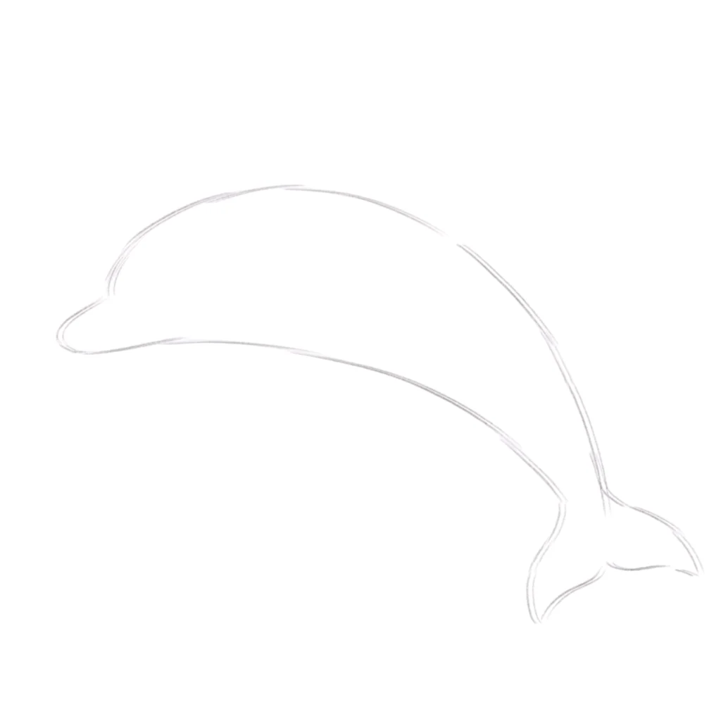 Step 1: Dolphin Body Shape