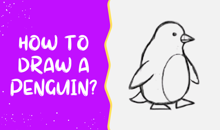 How to draw a Penguin?