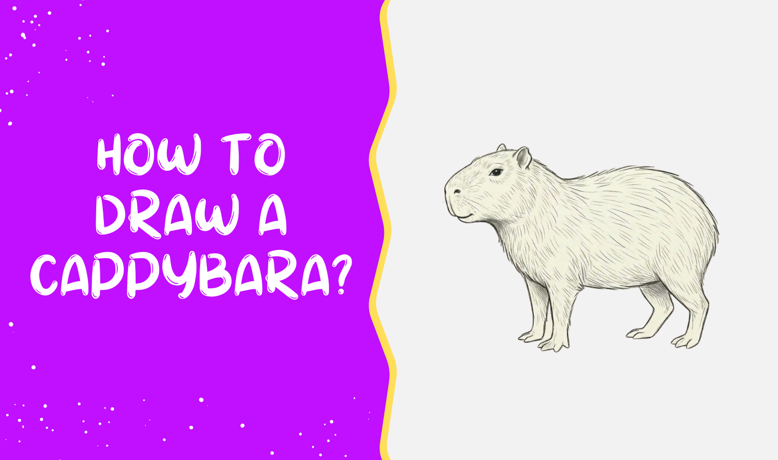 How to draw a Capybara