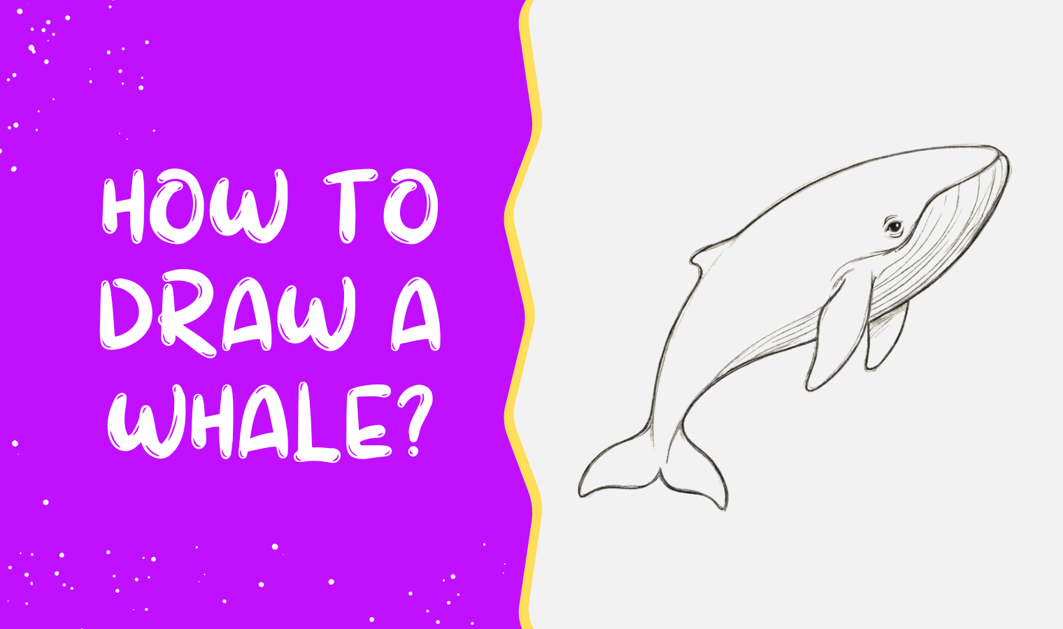 How to draw a whale