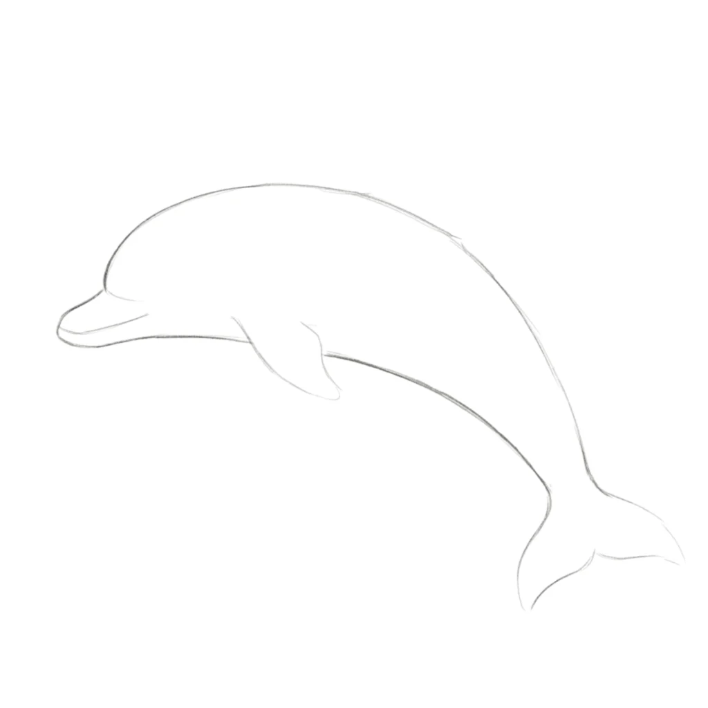 Step 2: Dolphin Face and Fin Outline
