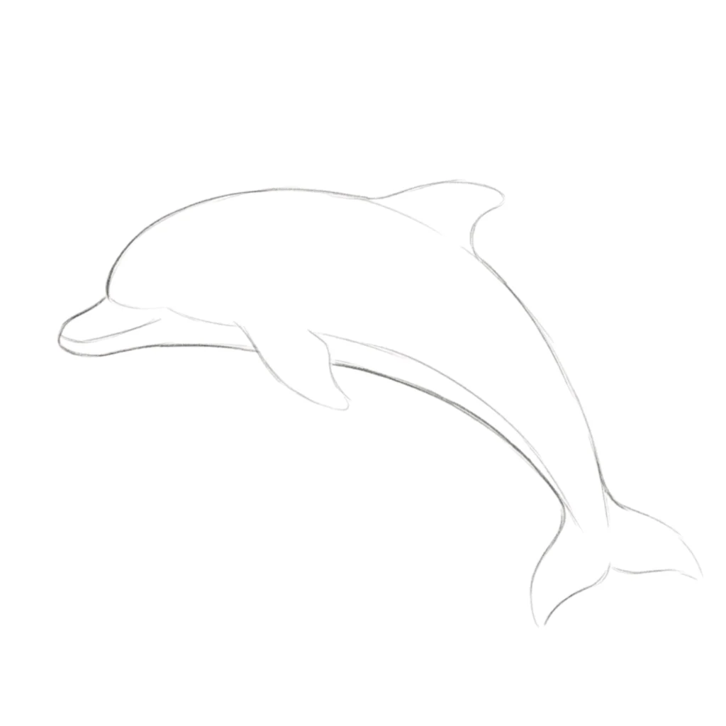 Step 3: Dolphin Final