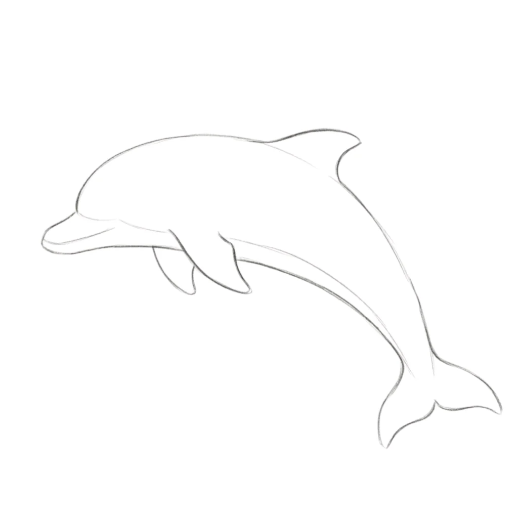 Step 4: Dolphin Tail & Fin