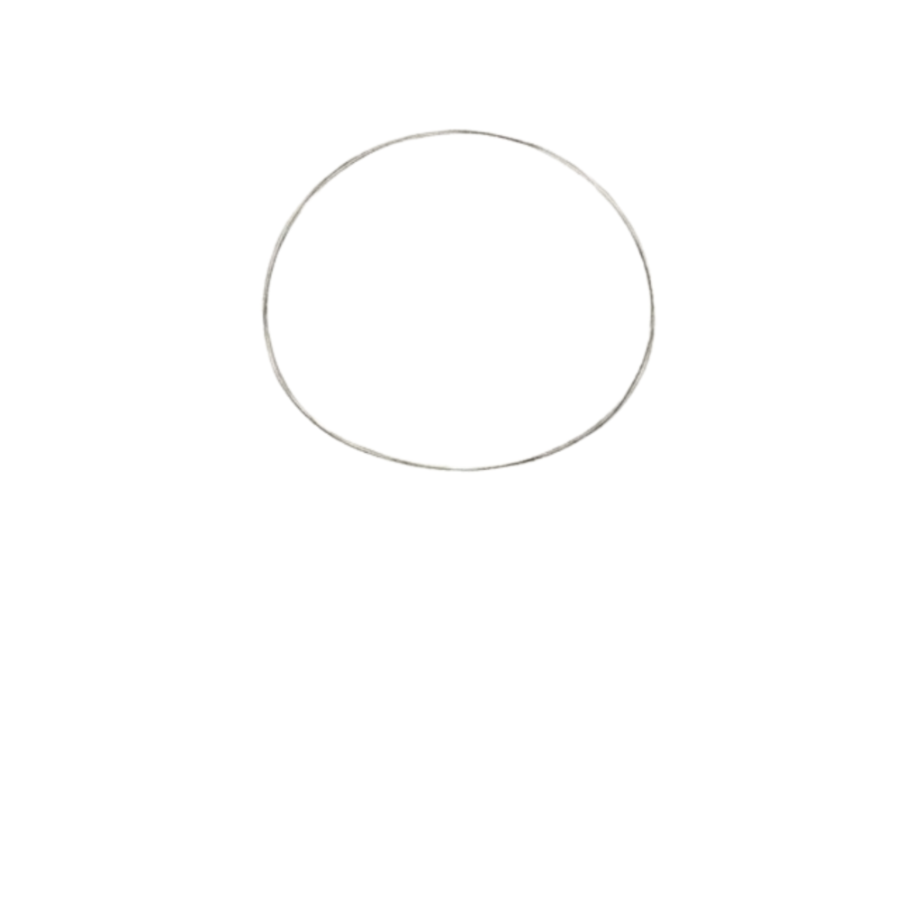 Step 1: Draw the Head Shape