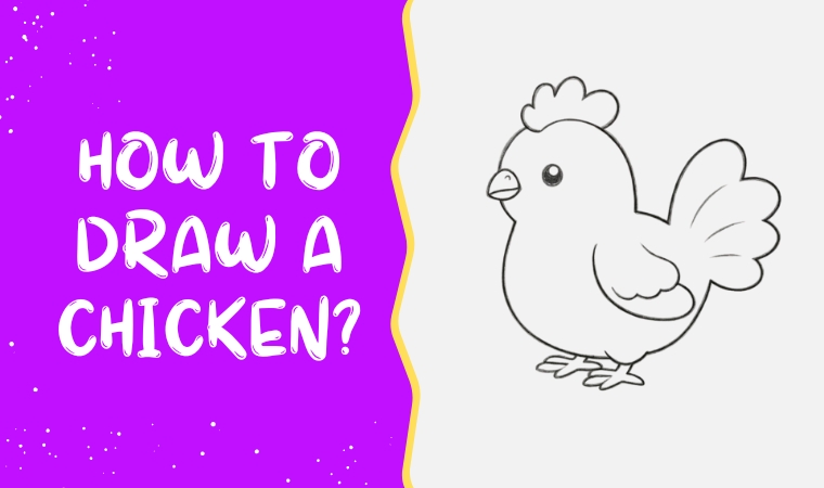 How to draw a Chicken