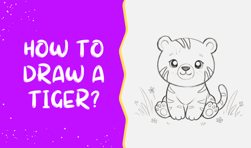 How to draw a Tiger