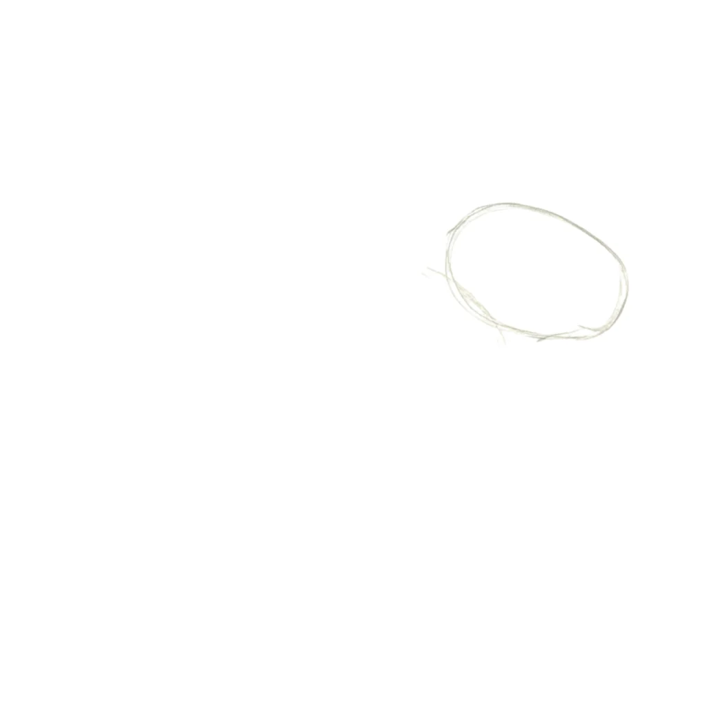 Step 1 Draw Oval Shape