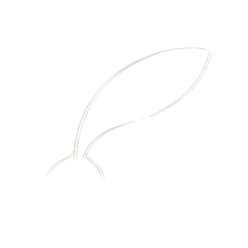 Step 1 Draw the Whale’s Main Body