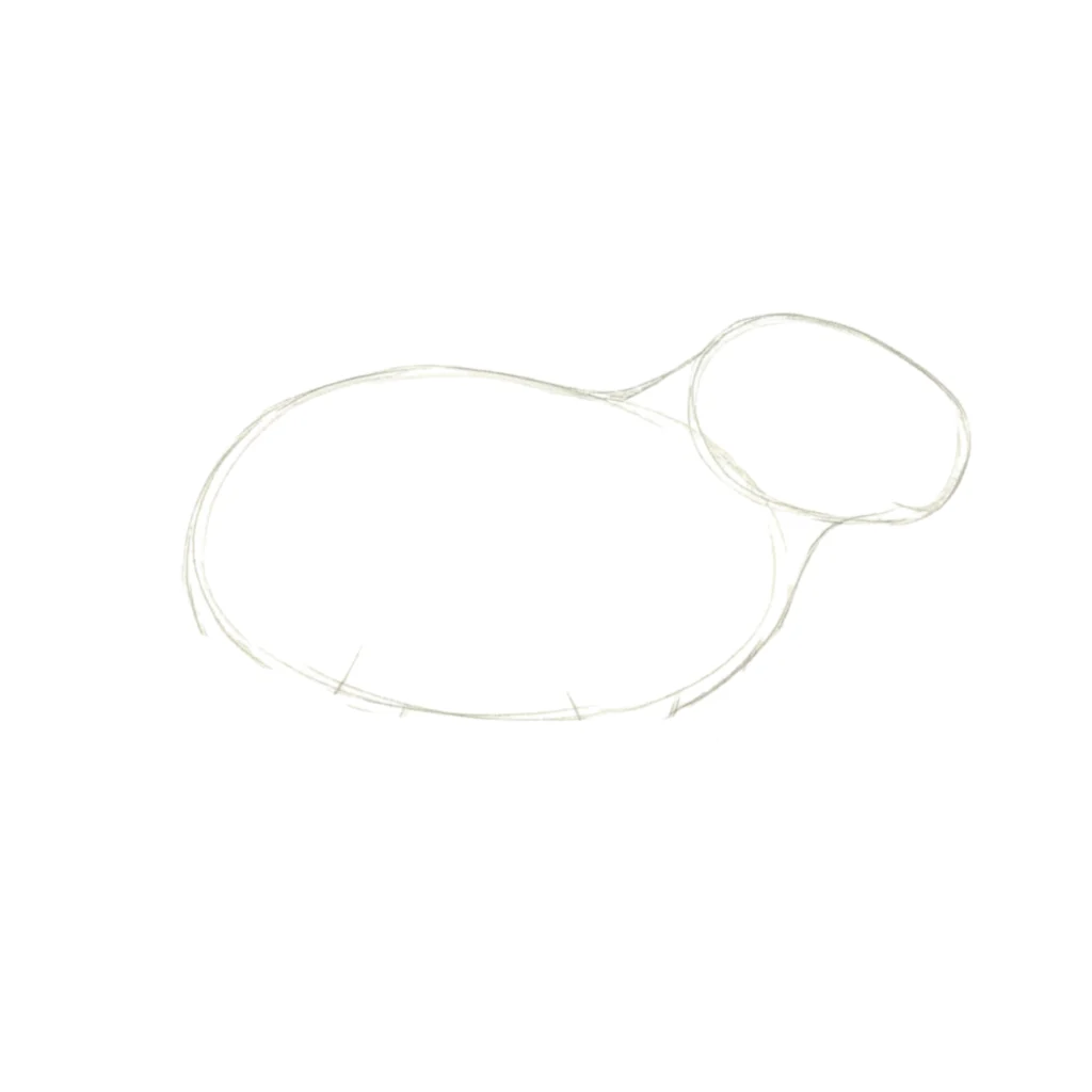Step 2 Draw a large rounded body shape