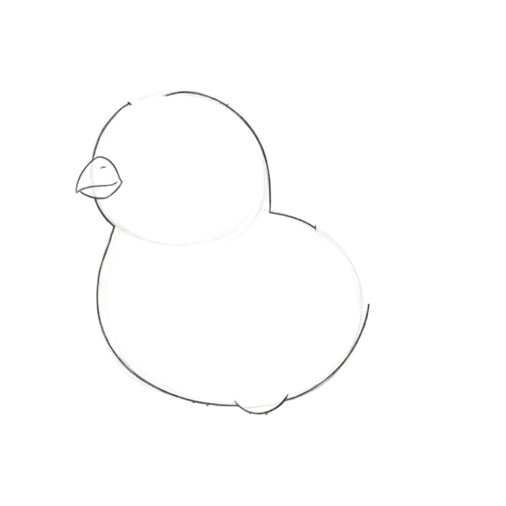 Step 3 Sketch the Bird’s Outline