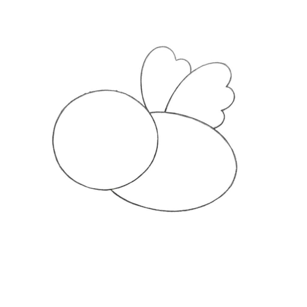 Step 3 Sketch the Wings