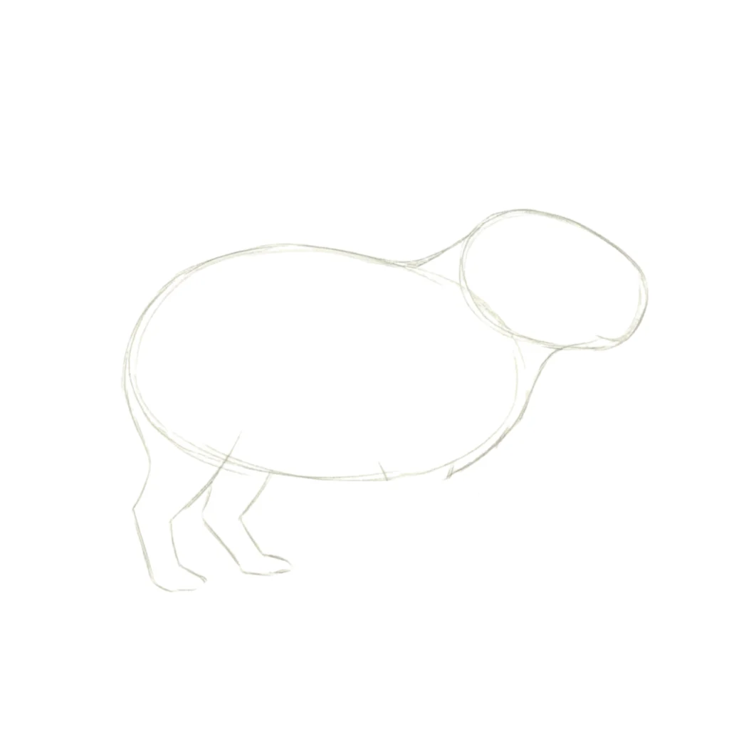 Step 3  Slightly Curved Lines For Legs
