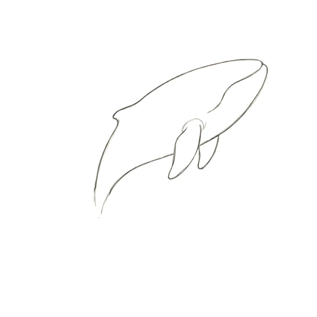 Step 3 Add the Fins