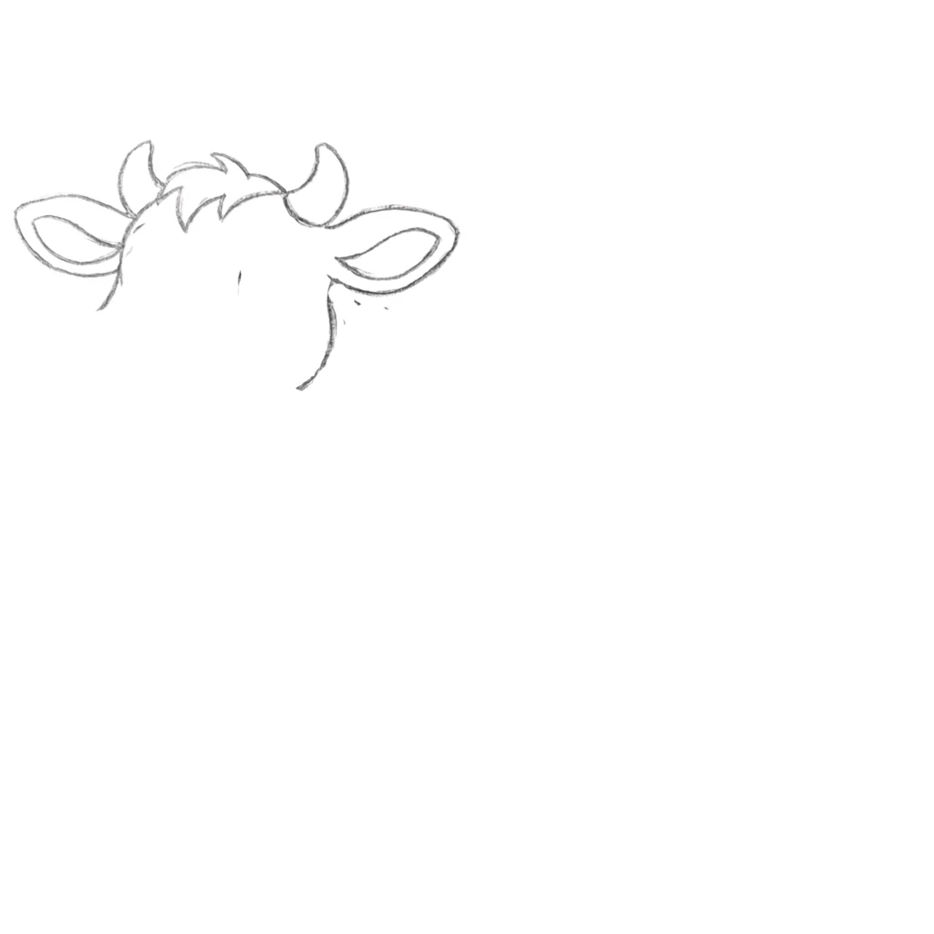 Step 4 Outline the Face
