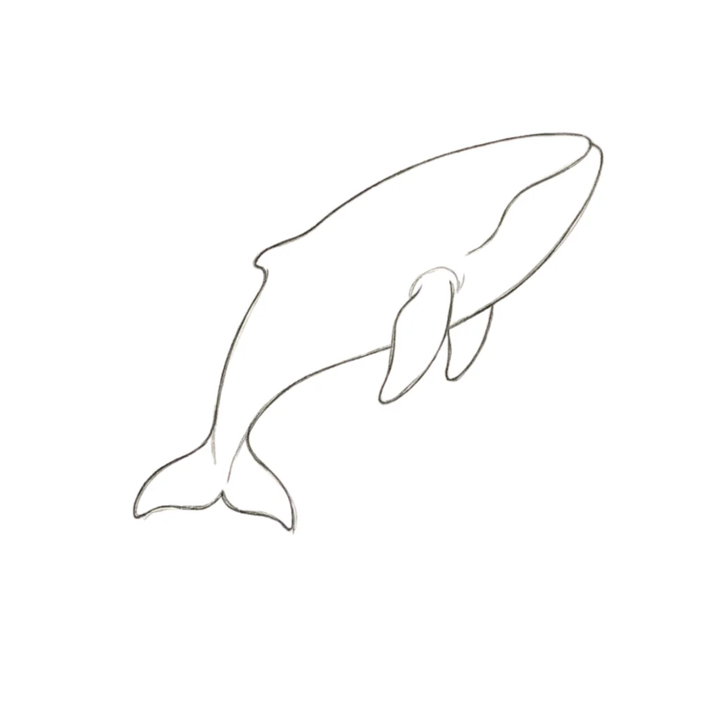 Step 4 Draw the Tail