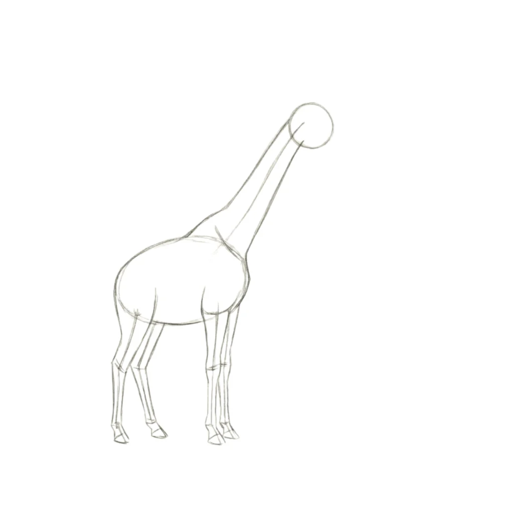 Step 4 – Refine the Legs