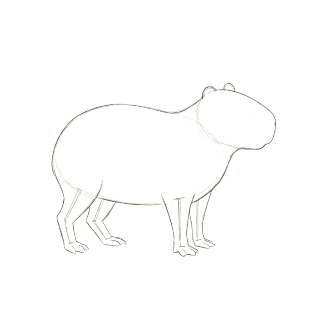 Step 5 Draw A Half-Circles