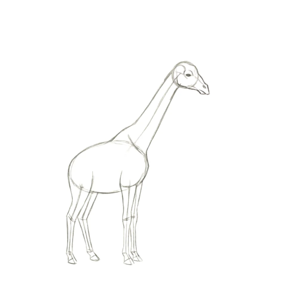 Step 5 – Add the Face