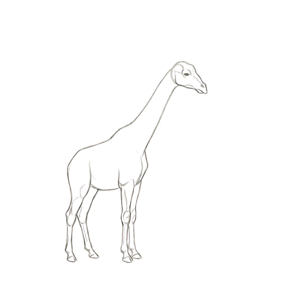 Step 6 Smooth the body shape