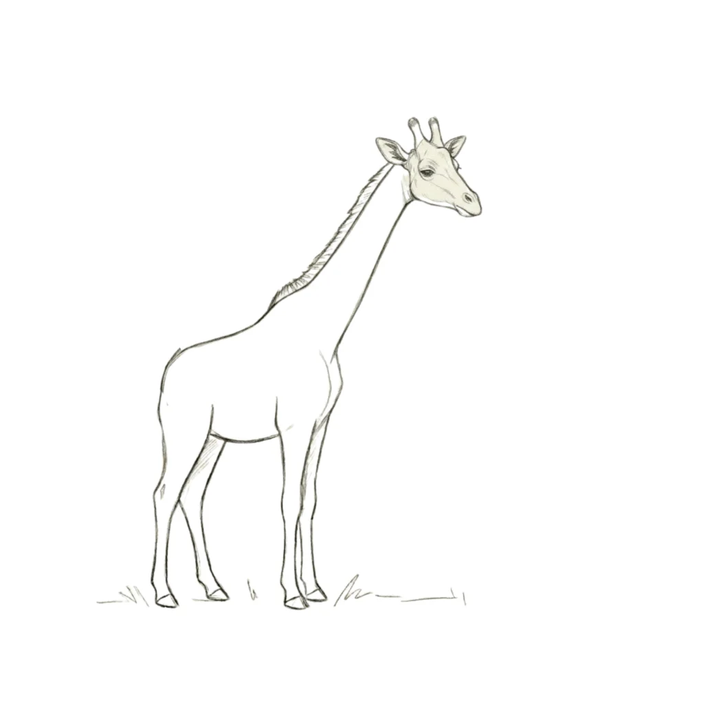 Step 7: Draw the ears & little horns
