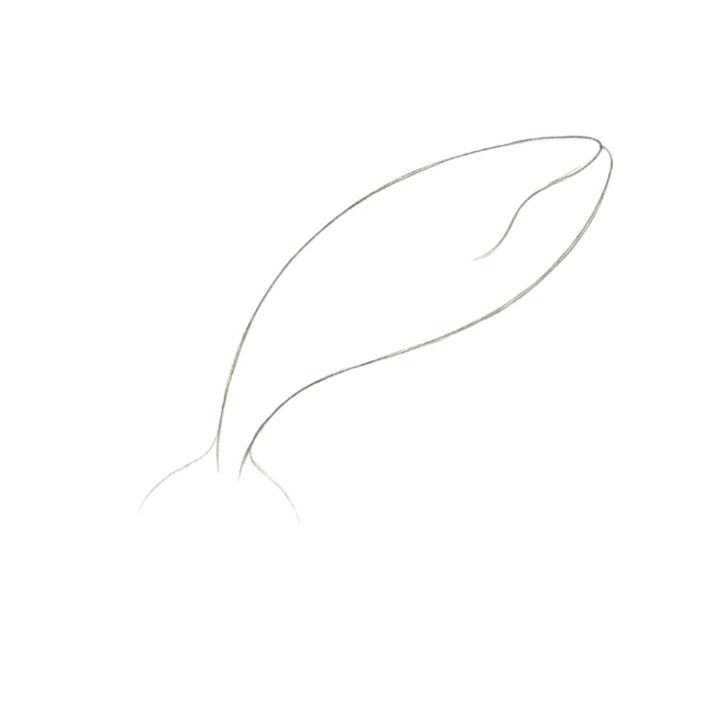 Step 2 Shape the Mouth Area