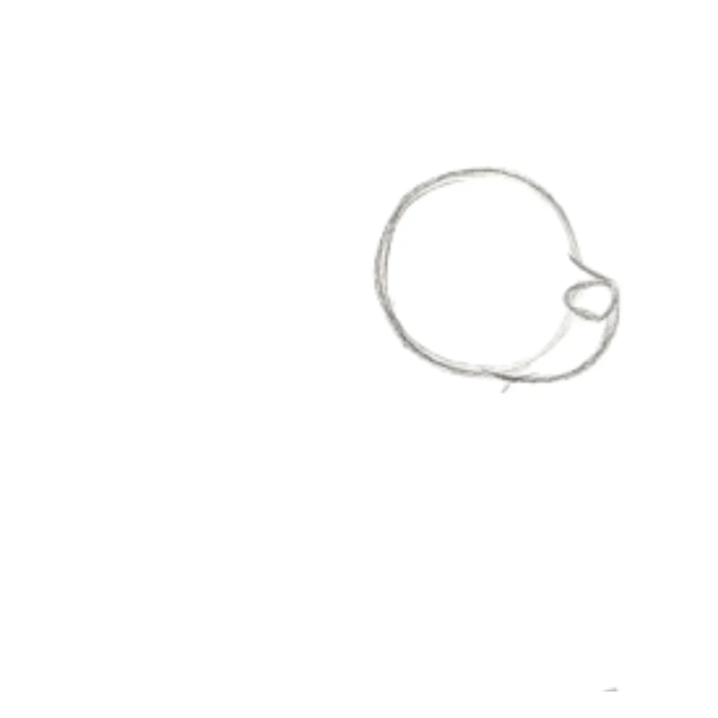 Step 1: Draw the Head Shape
