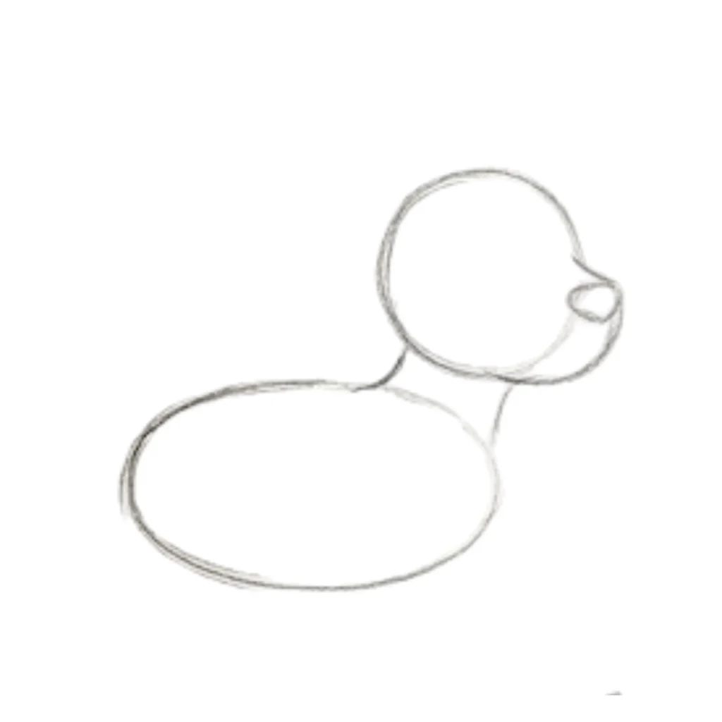 Step 2: Draw the Body