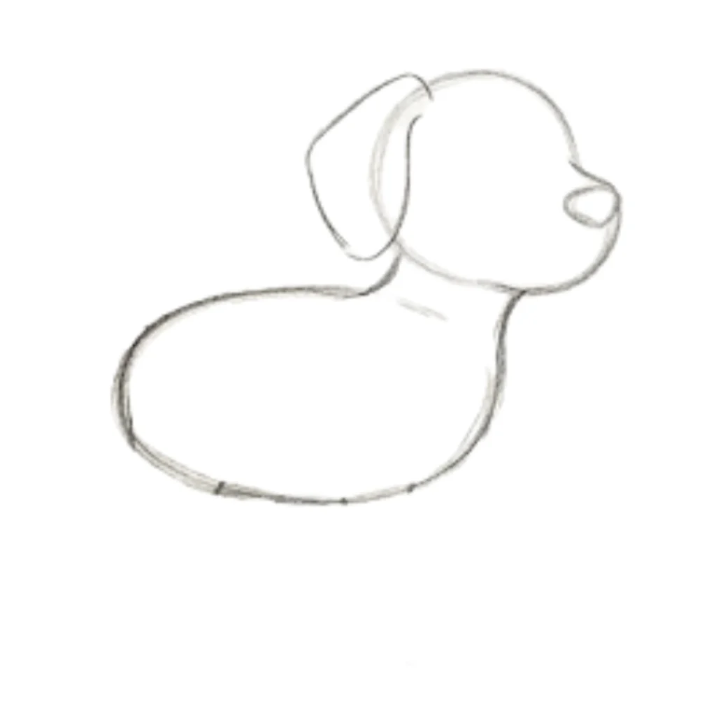 Step 3: Add the Neck and Ear