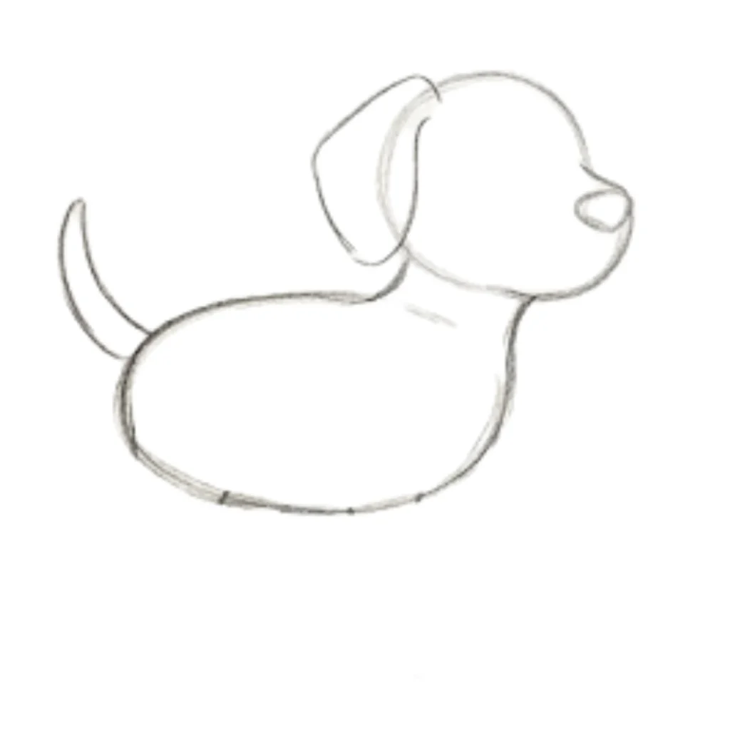 Step 4: Add the Tail