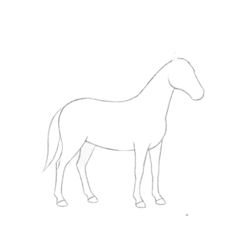 Add the legs