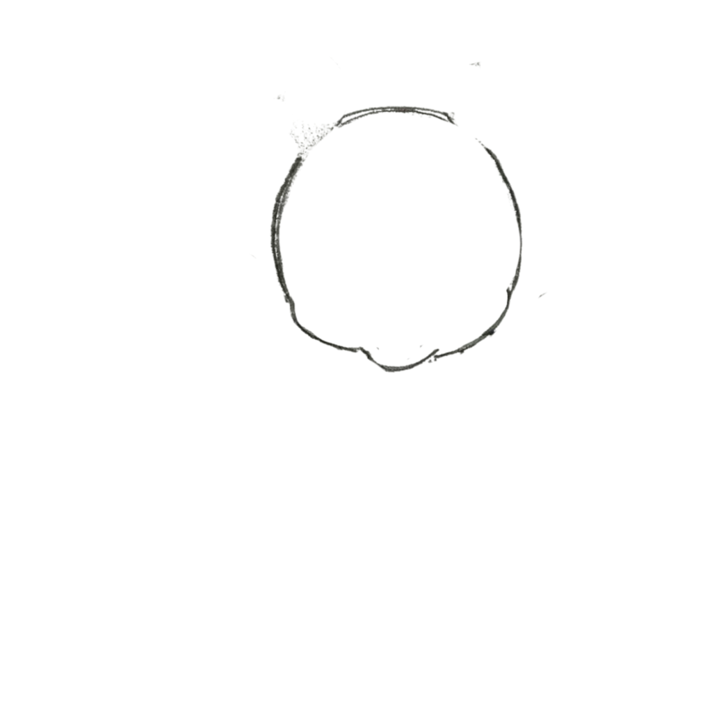 Step 1: Draw a Circle