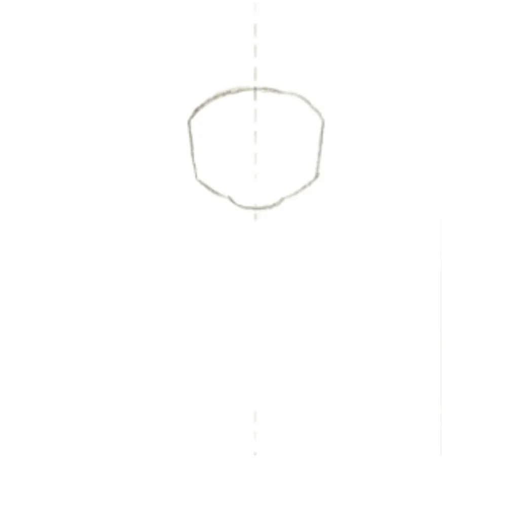 Step 1 Draw Face