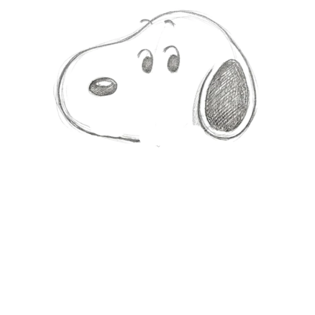 Step 3 Draw Nose