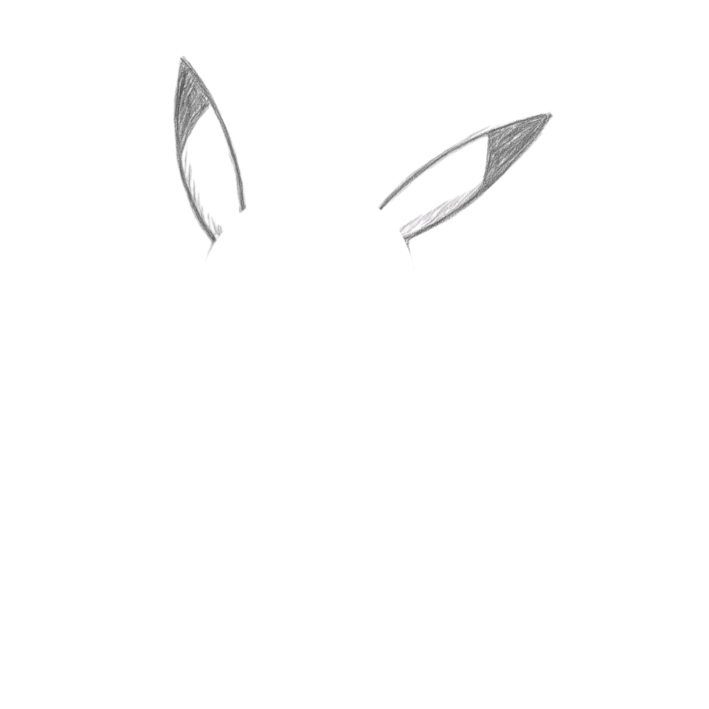 Step 1 Draw the Ears