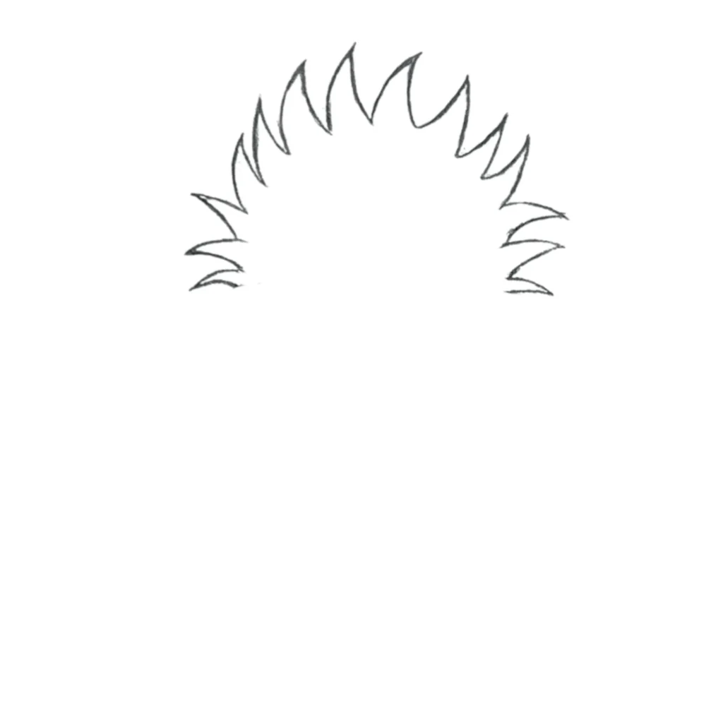 Step 1: Draw the Hair
