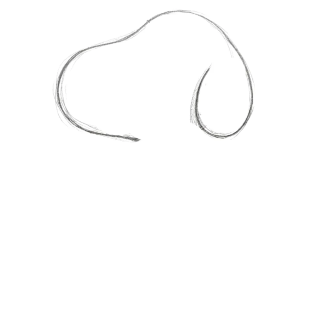 Step 1 Draw a Face Shape