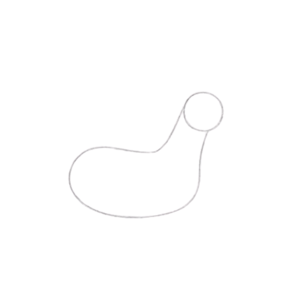 Draw the body and head shapes