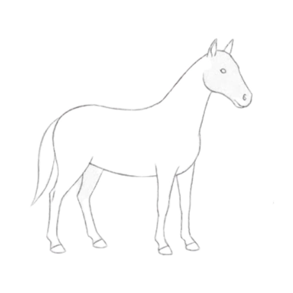 Draw the face and ears