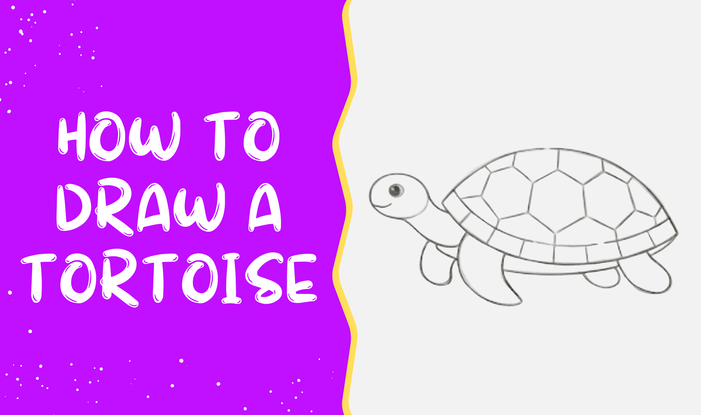 How To Draw A Tortoise?