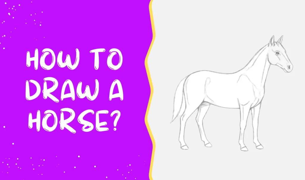 How to draw a Horse?