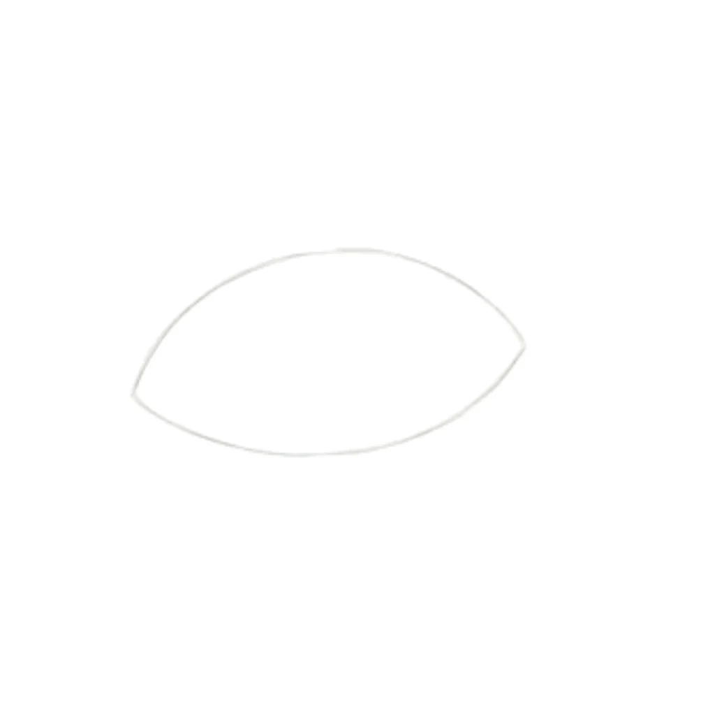 Step 1 Draw a large Oval