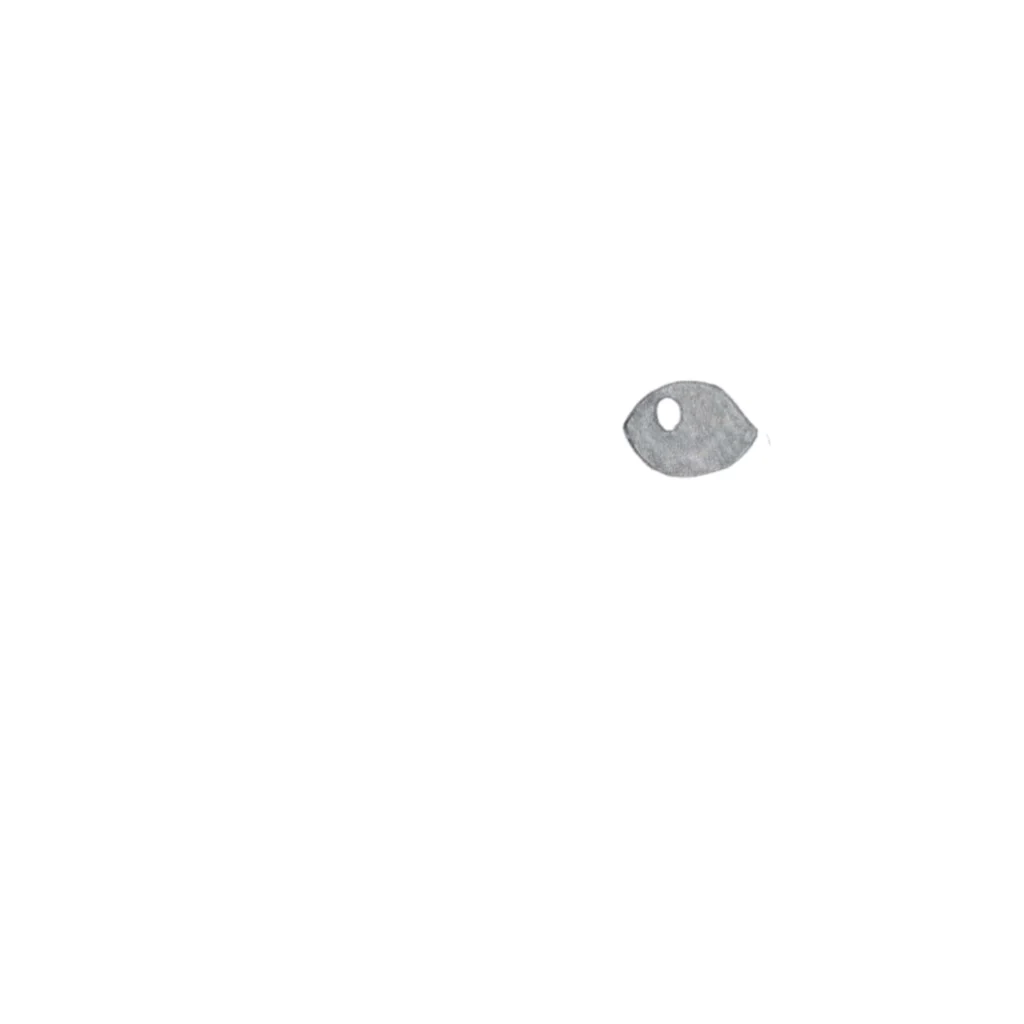Step 1 Draw the Eye